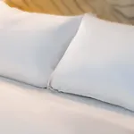 Ibis Hotel